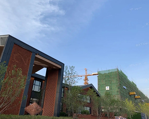 �L�����̌W��1872�Ŀ